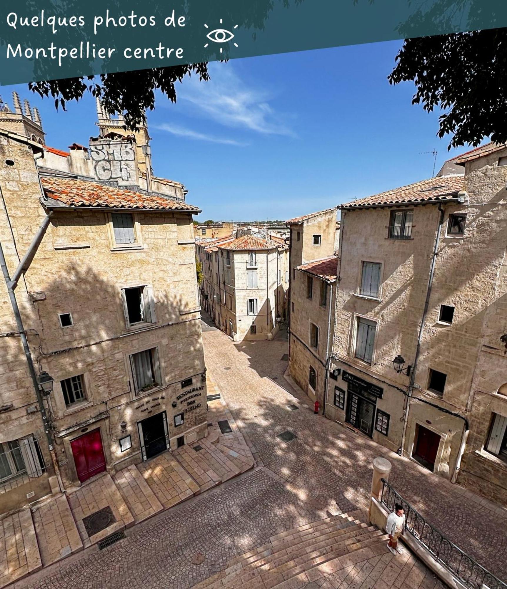 Appartement Entier Cosy Avec Balcon - Centre مونبيلييه المظهر الخارجي الصورة
